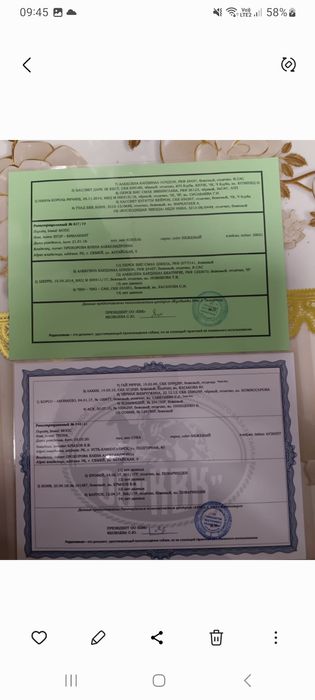 Мопс с документами продам