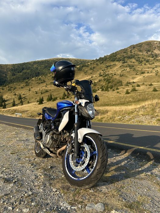 Suzuki gladius 2013