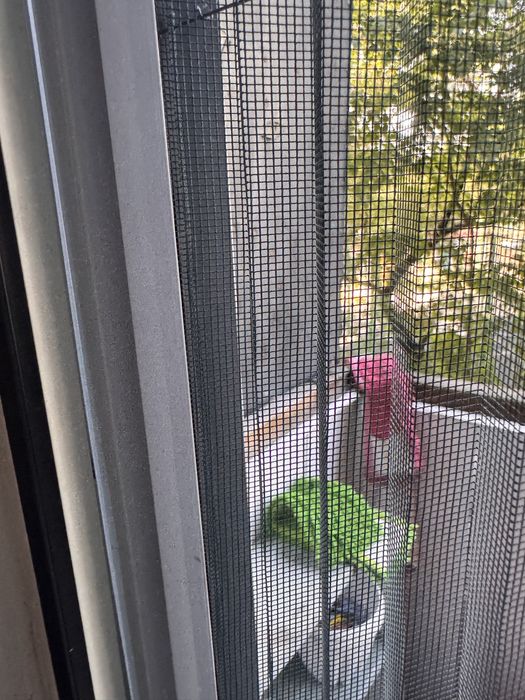 Продам москитную дверь на балкон