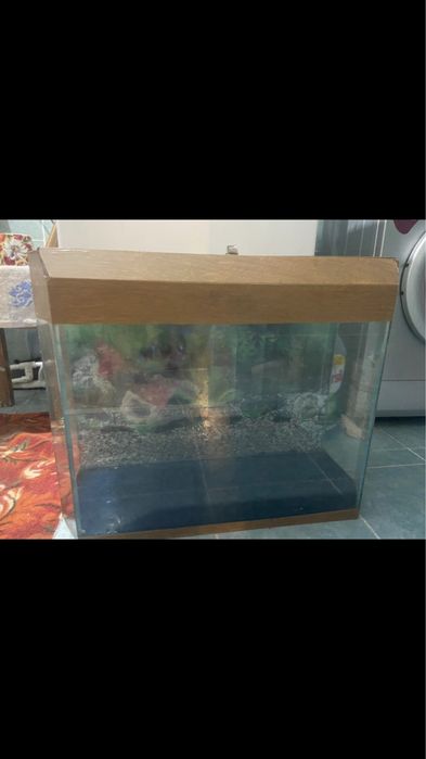 Аквариум в хорошем состояниии