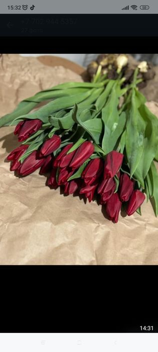 Тюльпаный ПО оптовой цене