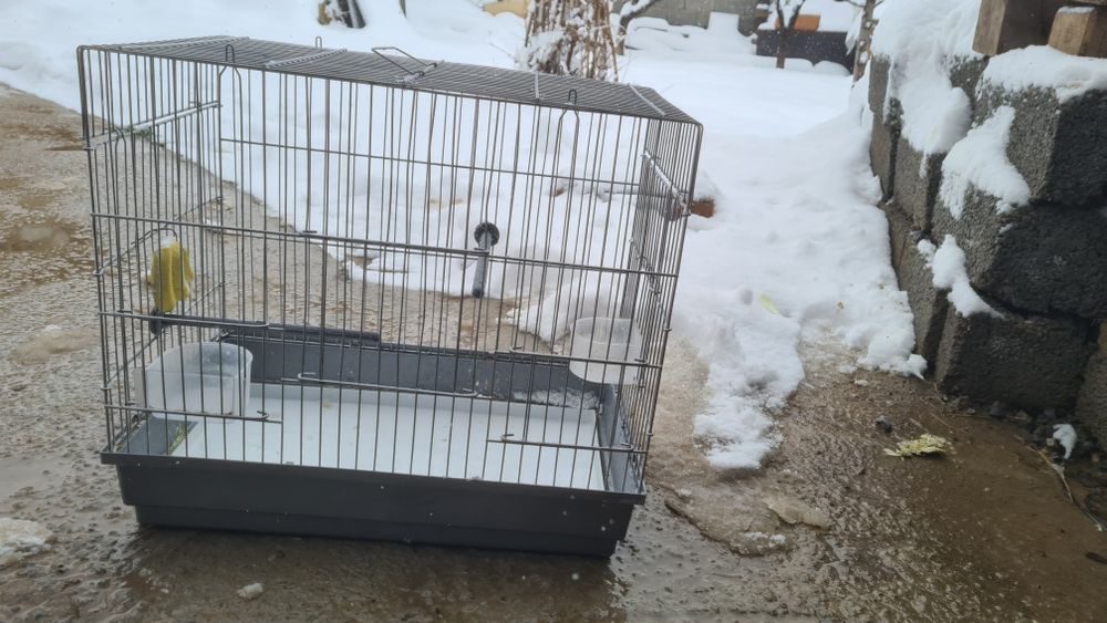 Клетка для попугая