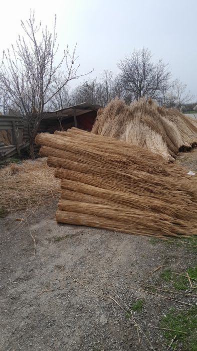 Vand stuf de anu asta