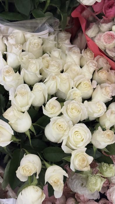 Цветы букет.