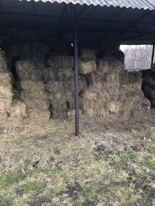 Baloti de fân ( semanatura si fân de coasta)