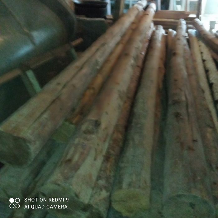 Тусин сотилади. Сосна