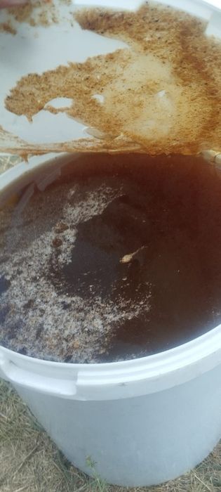 Мёд натуральный 2025 года