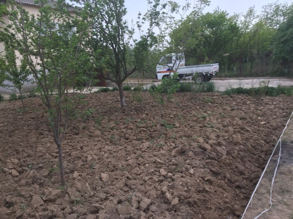 Продается отличный дом с участком