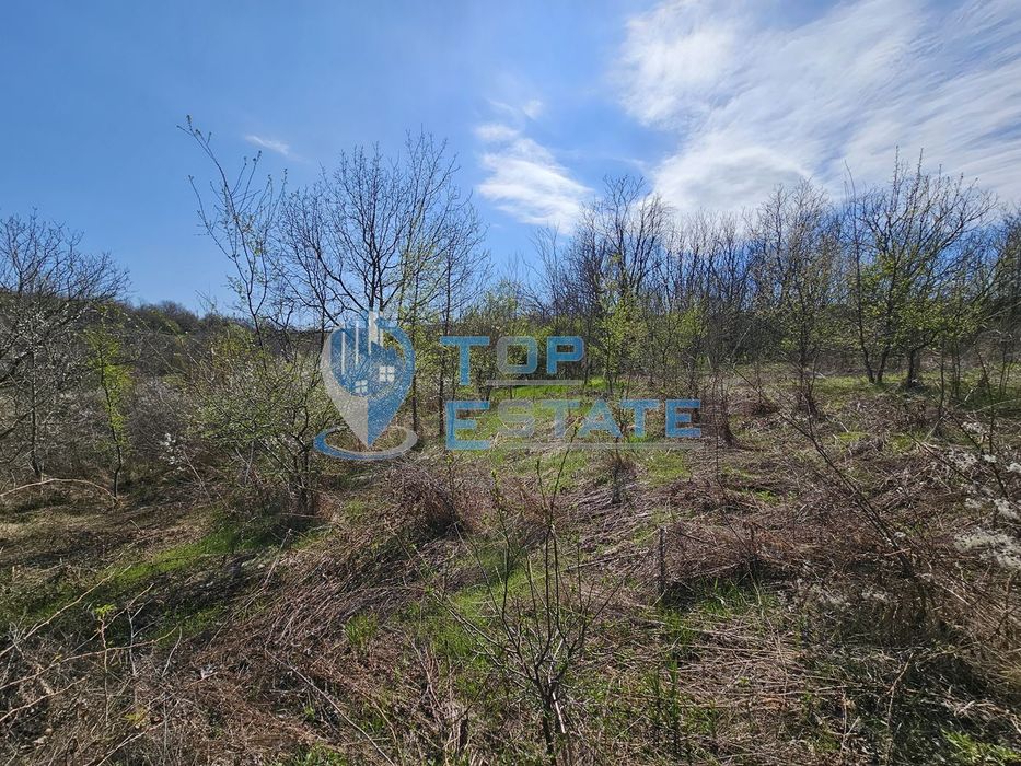 Голям парцел в регулация в южната част на село Хотница