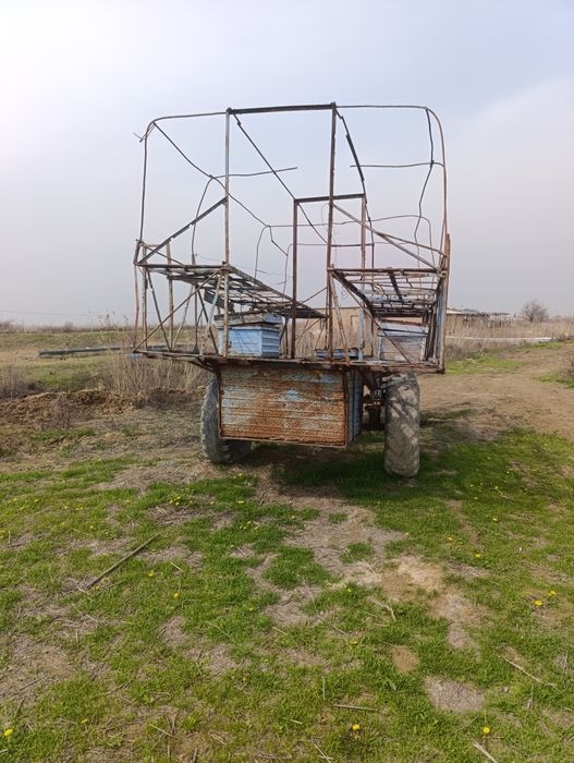 Асалари павилёни