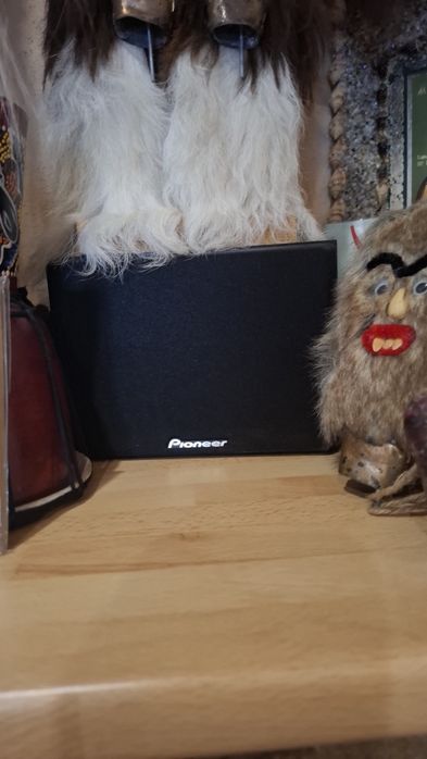 Домашно азвучение