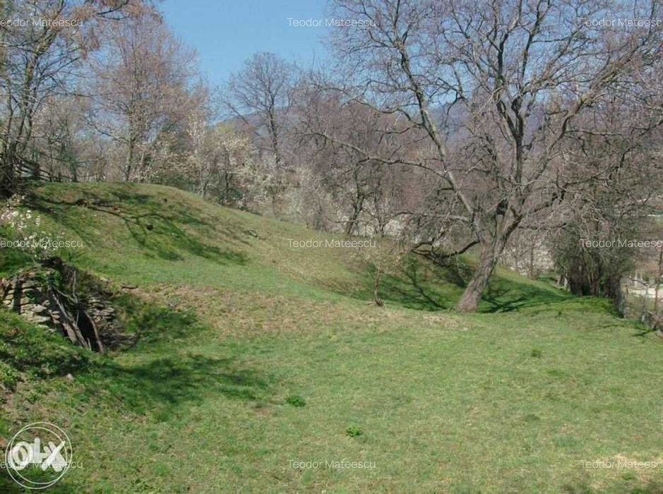 Vand Teren Intravilan Maneciu-Ungureni, Jud. Prahova