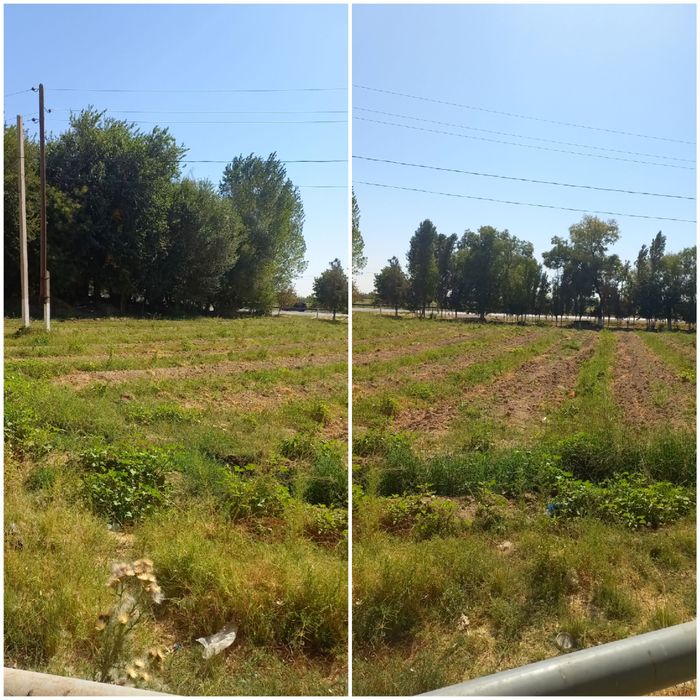 М 39 трасса Солнечный 20 соток земля