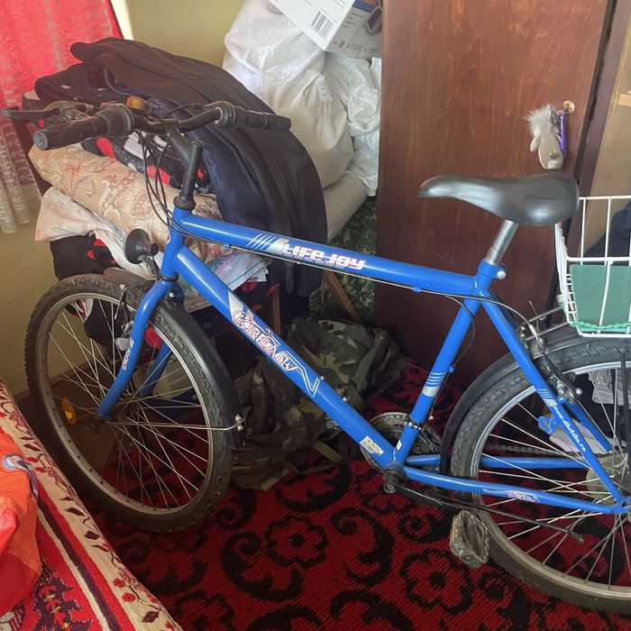Bicicleta adulti