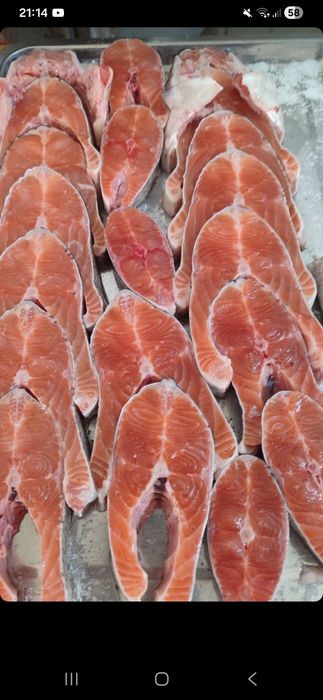 Forel baliq boqishga investor $