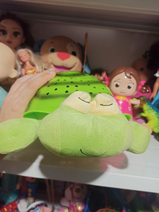 Lampa de veghe , testoasa