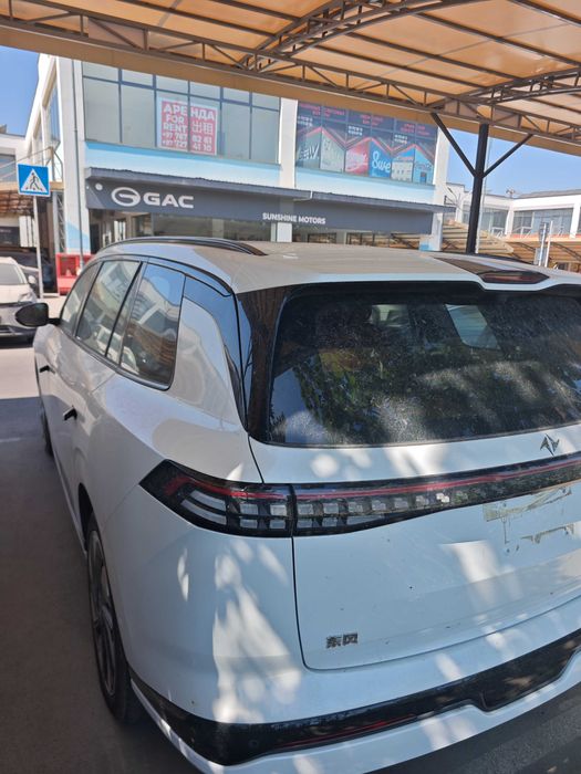 Dongfeng 008 Elektr B.U.