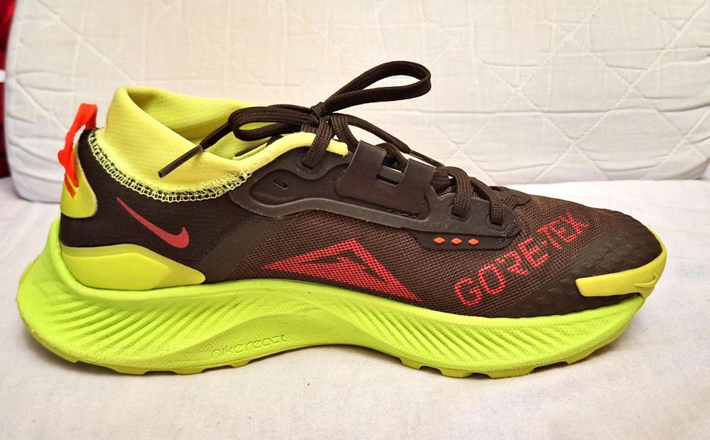 Nike Pegasus Trail 3 Gore-Tex