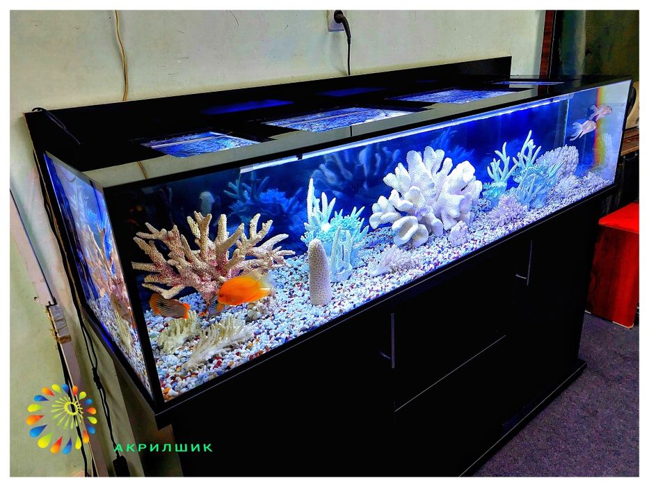Аквариум  из акрила