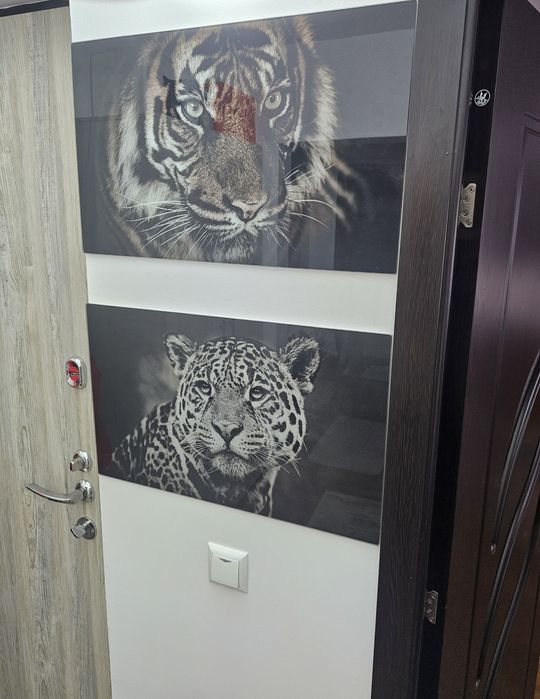 Tablou de sticla securizată