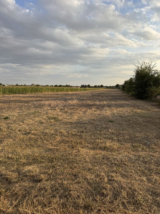 Vand teren intravilan, com. Campineanca, Vrancea