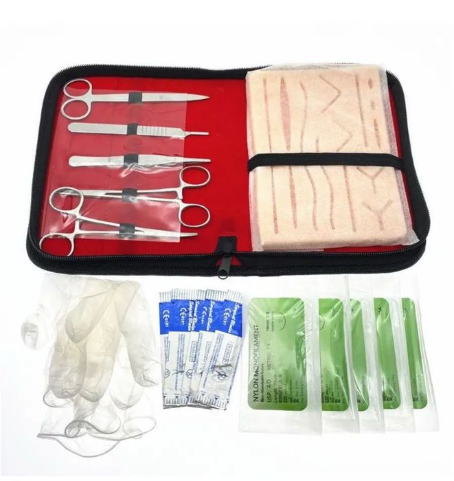 Модель зубов для стоматологов