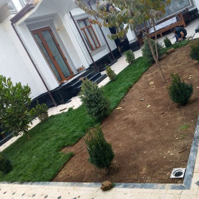 Archa gul kesish gazon ekish tayor gazon bosish archa gul ekish xat xi