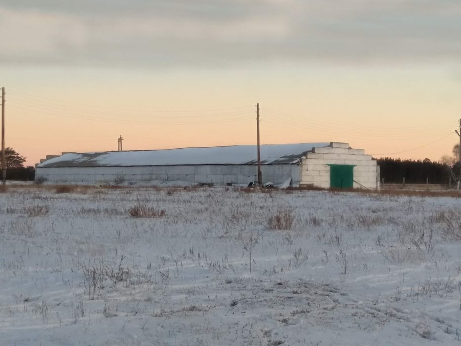 Крестьянское хозяйство