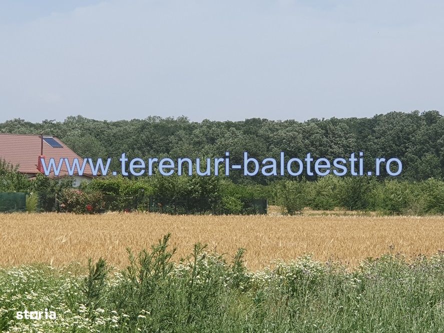 Vila Balotesti, padure,'la rosu',bransata la utilitati 99000 euro