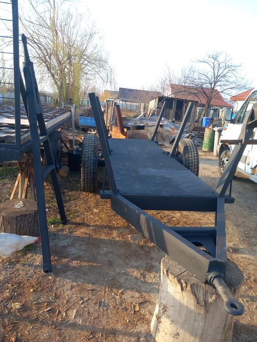 Trocarici, trancar ,peridoc de pădure