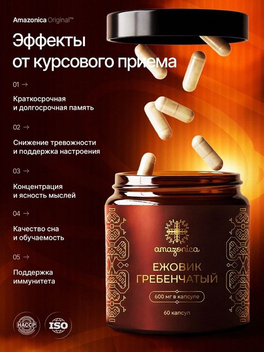 Ежовик гребенчатый