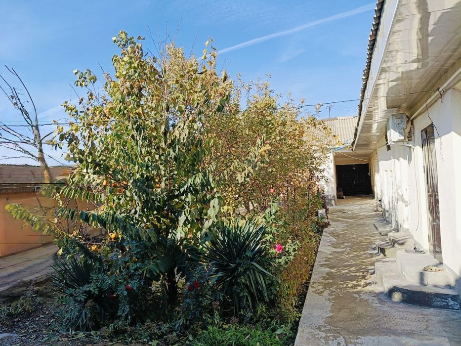 Сабзавот,Чоштепада 9 хоналик ховли 3.8 соток ери билан сотувда