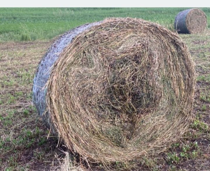 Baloți de lucernă cu trifoi