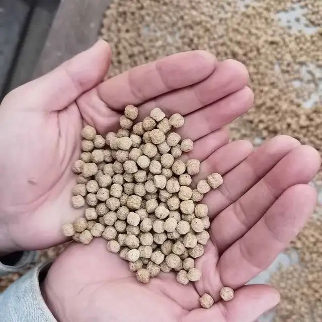 Экструдер Для Рыбного Корма