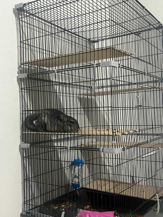Клетка для шиншиллы