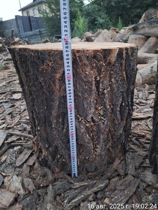 Стол-гриб из карагача