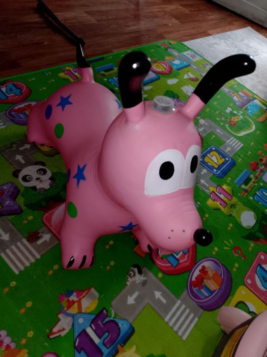 Бибикар + собака игрушка