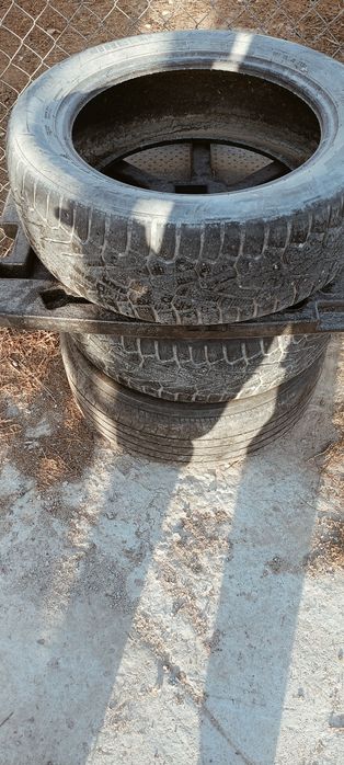 Шины 2 кыскы 1 жазгы