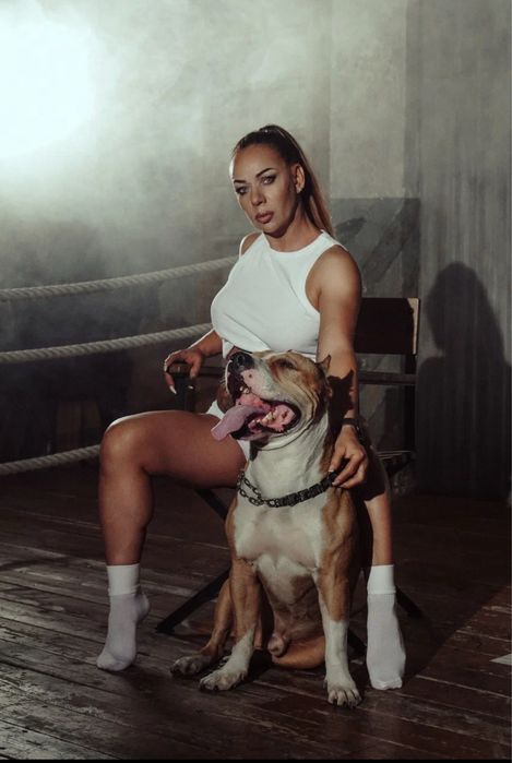 Кобель стафф для вязки