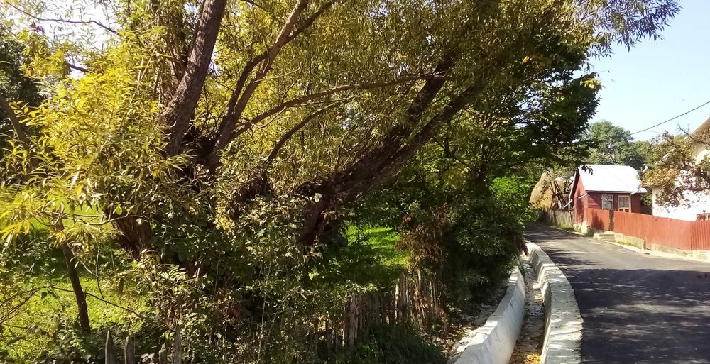 Teren intravilan Valea Doftanei, sat Tesila, Prahova