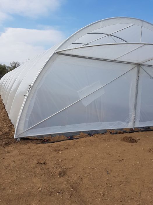 Solar flori sau legume