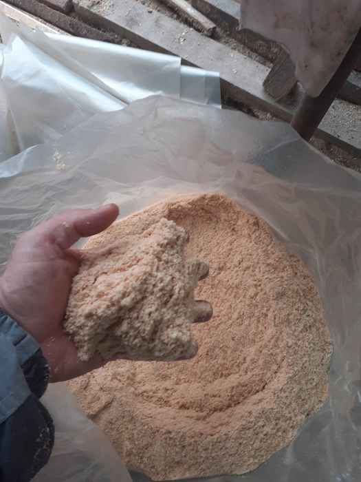 Rumeguș Fag pentru Afumatoare