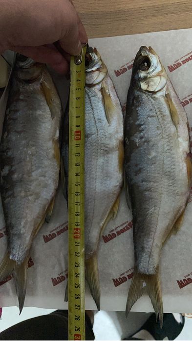 Рыбец Атырау свежий посол