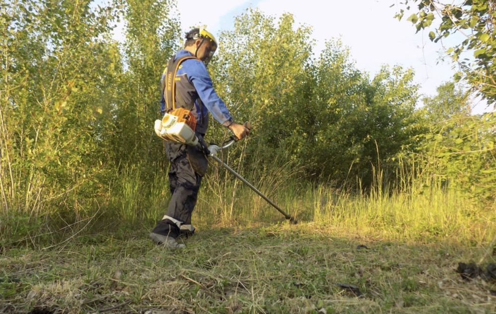 Чистене и извозване рязане на дървета