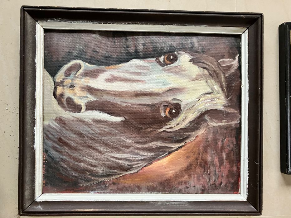 Картини с  рамки