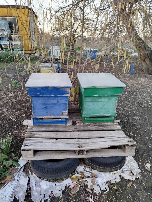 Кошери магазини тенекии