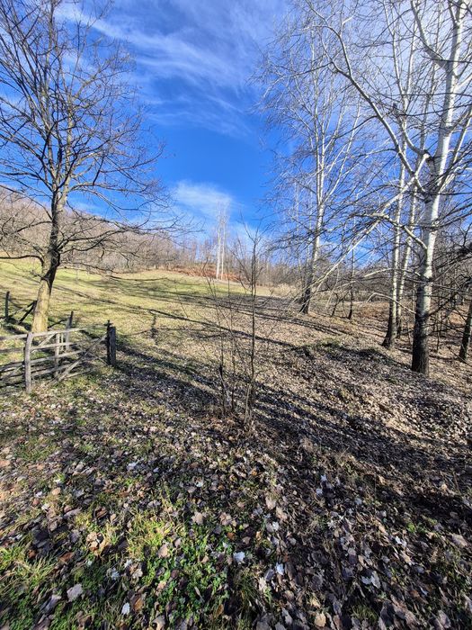 Teren cu casă Cernișoara 1750mp