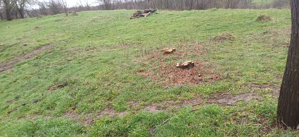Teren intravilan 1260 mp la asfalt, Valea Unghiului Prahova