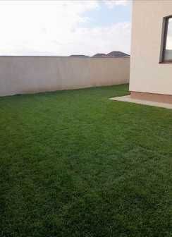 Gazon Rulou Sisteme de irigatii Tuia