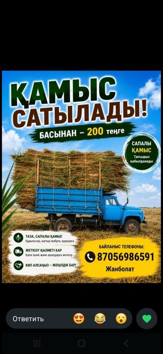 Қамыс бар бауланған